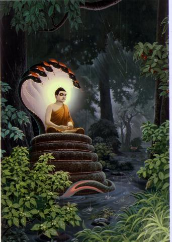 buddha017
