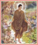 buddha056