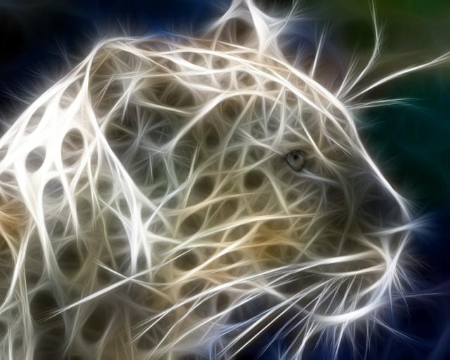 Animals_276