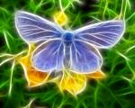 Animals_277