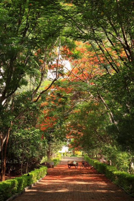taitong_039