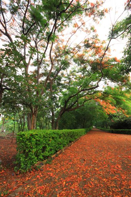 taitong_053