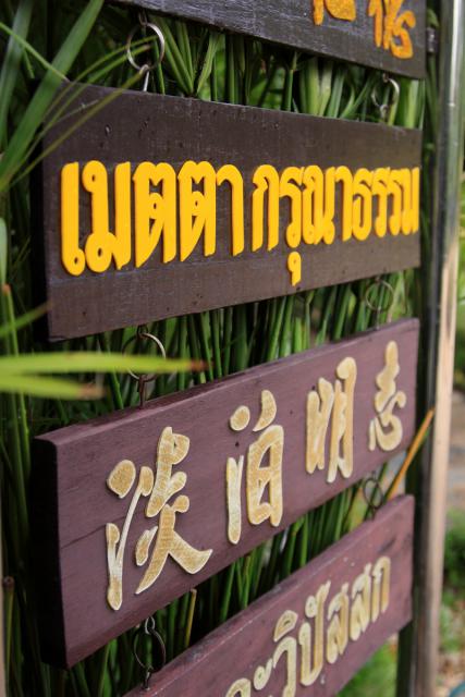 taitong_055