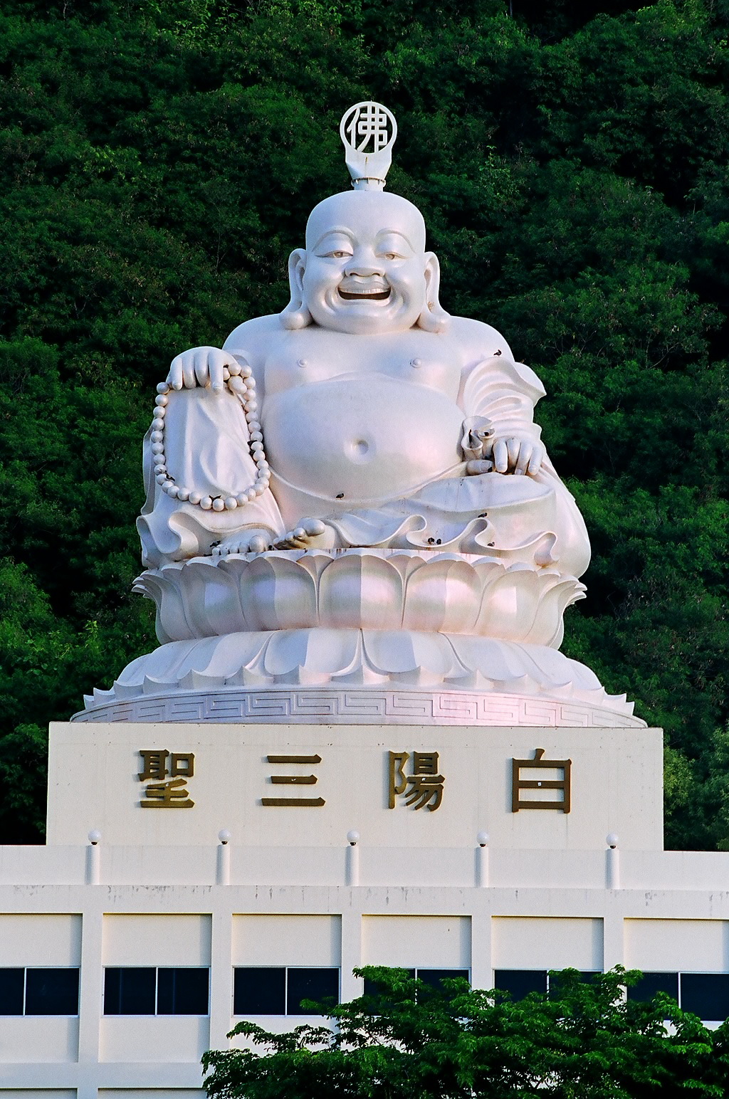 taitong_061