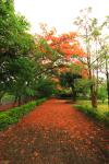 taitong_080