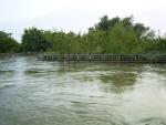 flood_korat_071