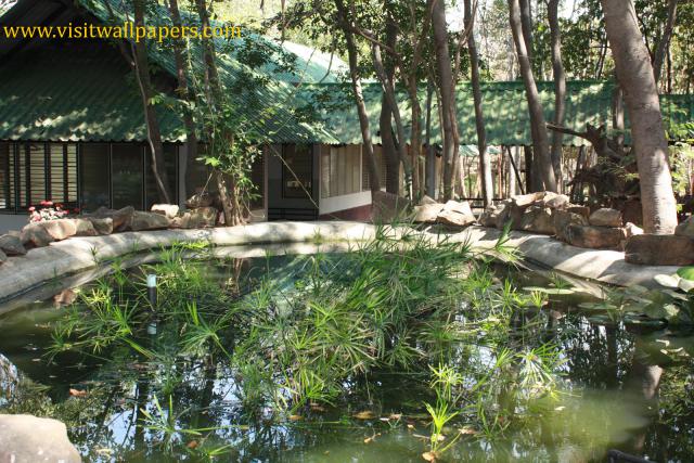 waphukaew11_028