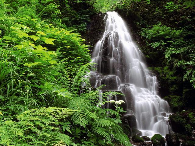 waterfalls_186
