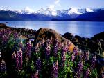 mountains_197