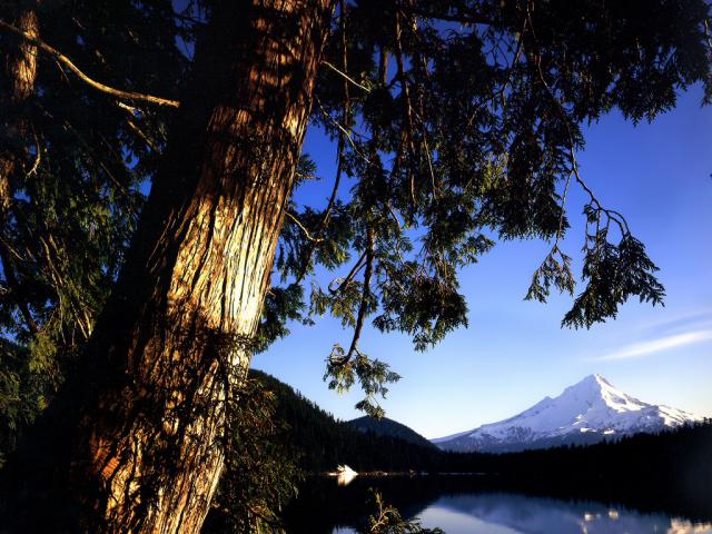 mountains_202