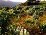 mountains_207