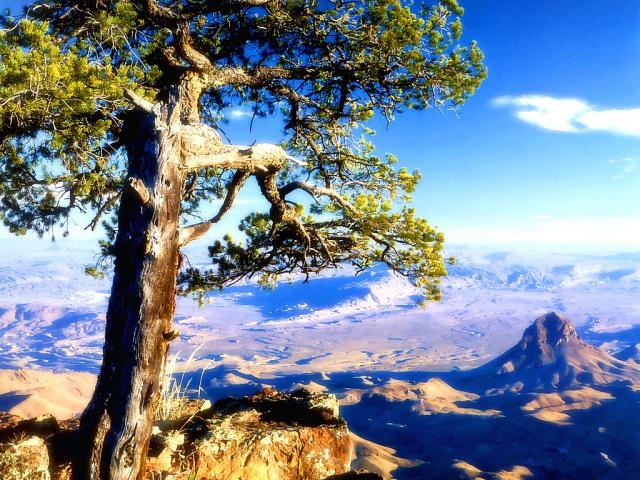 mountains_210