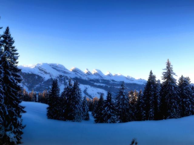 mountains_214