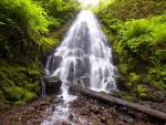 Fairy Falls, Columbia River Gorge National Scenic Area, Oregon