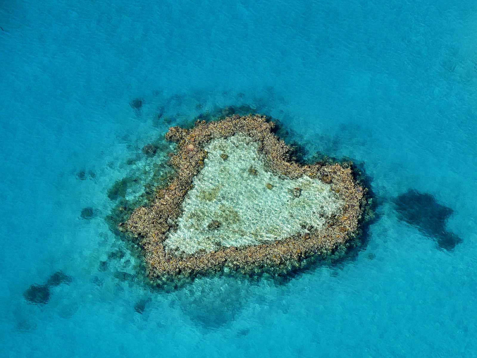 Heart-Shaped Reef, Great Barrier Reef, Queensland, Australia