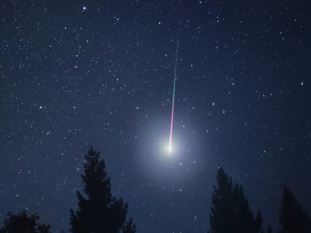 Light in the Forest, Leonid Meteor Shower