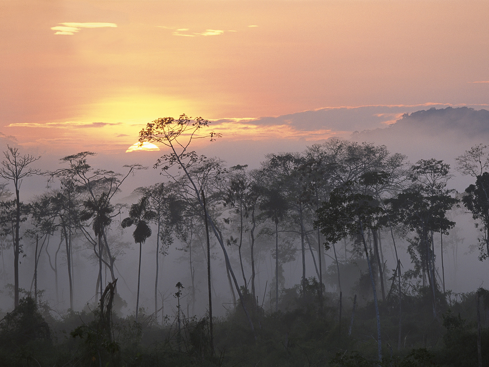 Lower Urubamba River at Dawn, Amazon, Peru