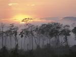 Lower Urubamba River at Dawn, Amazon, Peru