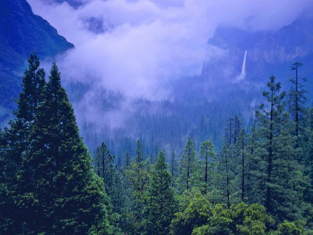 Spring Storm in Yosemite Valley, California