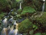 waterfalls_202