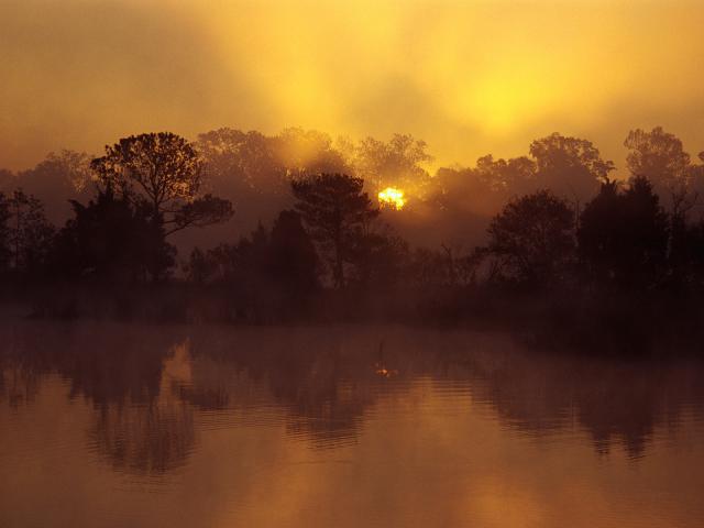 Ashley River at Sunrise, Near Charleston, South Carolina