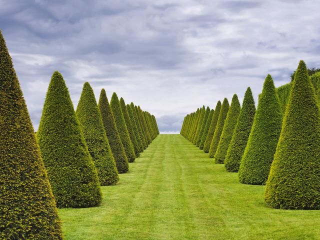 Gardens of Versailles, France