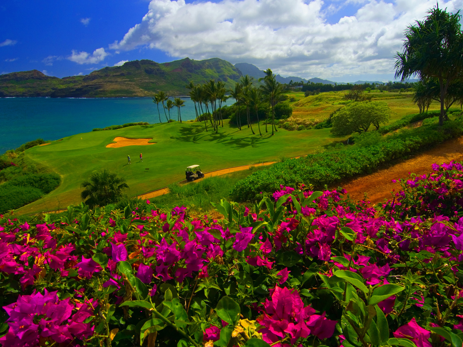 Kauai Golf, Hawaii