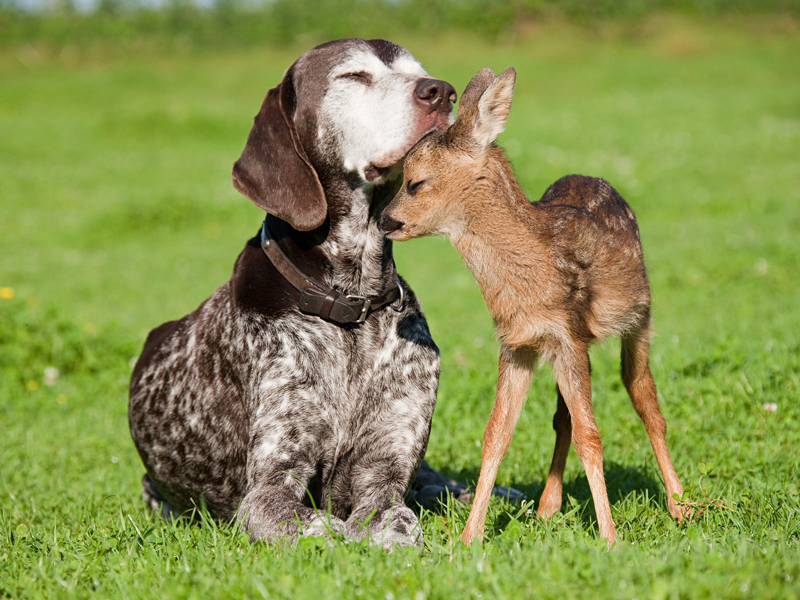 Kindred Spirits