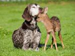 Kindred Spirits