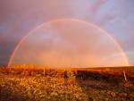 Rainbow Over Big Bend National Park, Texas