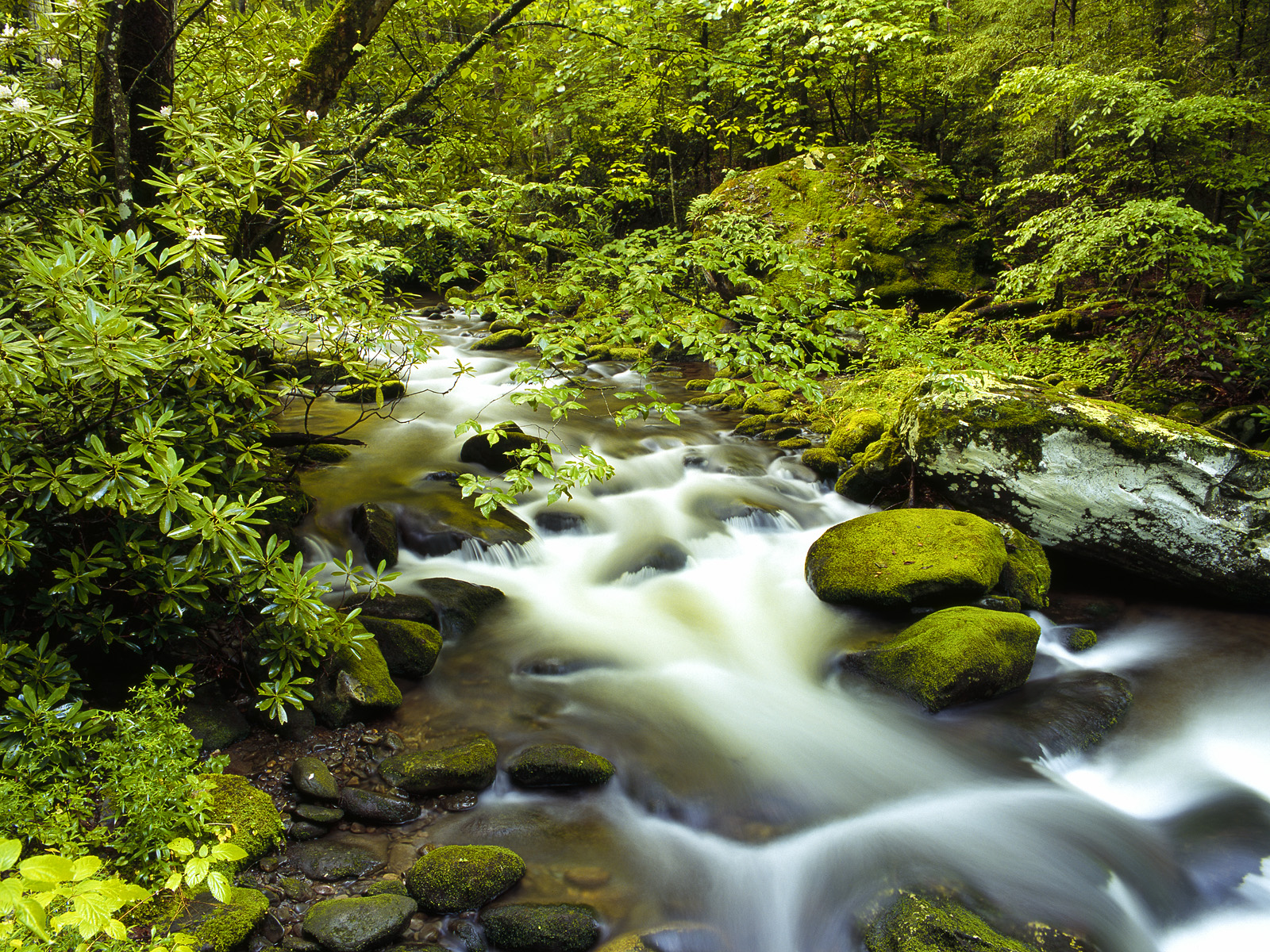 Roaring Fork, Great Smoky Mountains, Tennessee