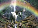 Mystical Waterfall