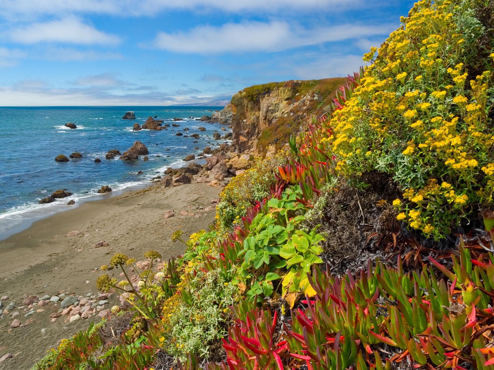 Seaside Garden Bodega Bay California