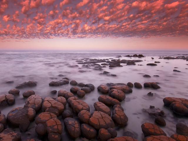 Stromatolites at Dawn on Shark Bay Western Australia