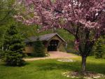 Crabapple Tree and Covered Bridge, Wisconsin