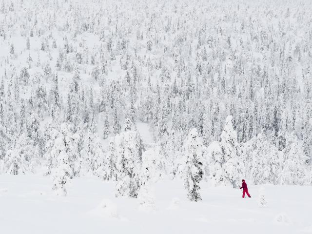 Cross Country Skiing Finland