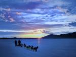 Dogsledding Near Nome