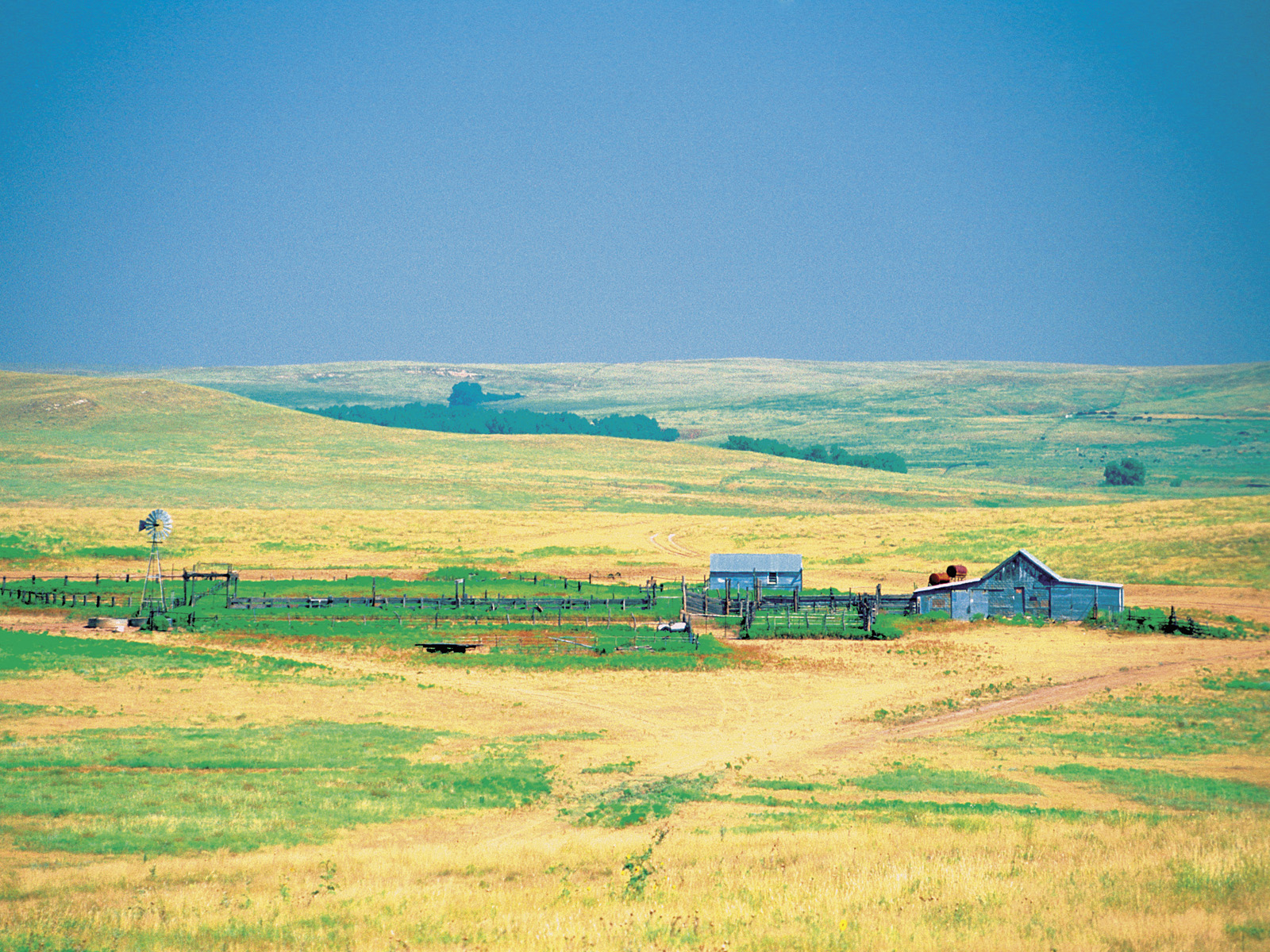 Grassland Kansas