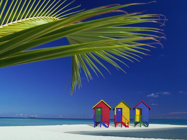 Island Paradise