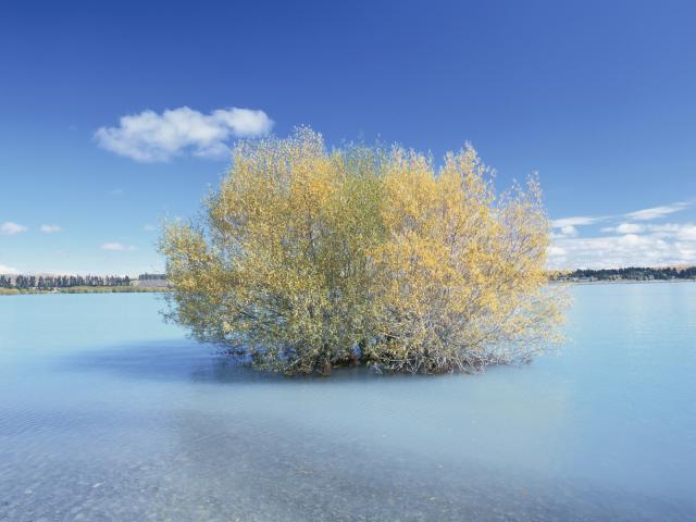 Lake Tekapo New Zealand