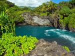 Venice Falls Maui Hawaii