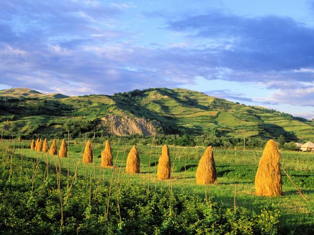Carpathians Mountains Maramures Region Romania