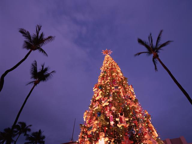 Christmas in Honolulu Oahu Hawaii