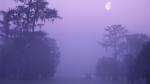 Secret Fishing Hole Louisiana