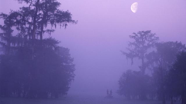 Secret Fishing Hole Louisiana