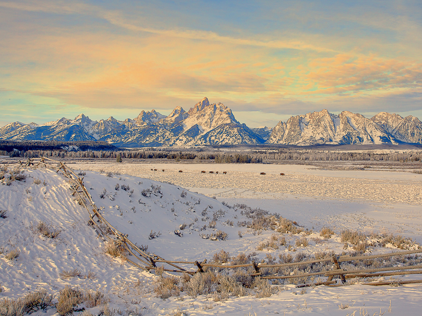Guest X Ranch Grand Teton National Park Wyoming