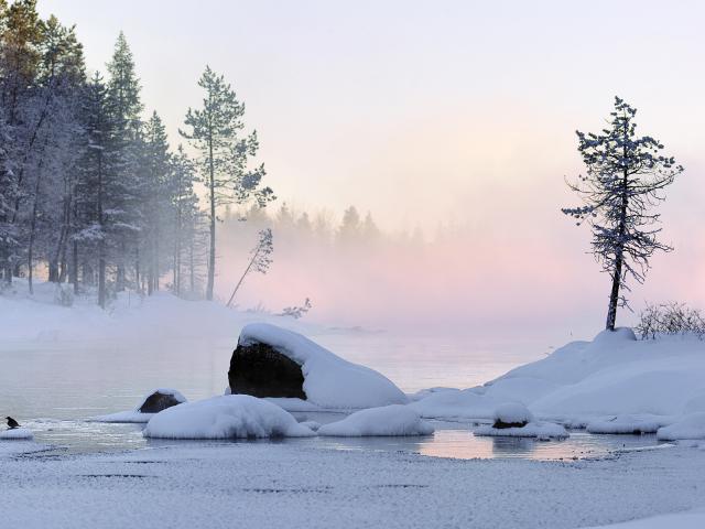 Rising Mist on a Winter Morning Finland