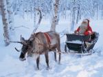 Santa Claus Sleigh Ride Lapland Finland