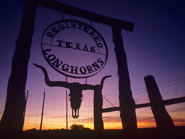 Texas Longhorns