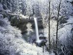 Wintry Waterfall Silver Falls State Park Oregon